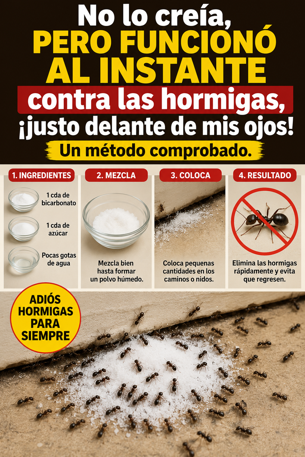 No lo creía, pero funcionó al instante contra las hormigas, ¡justo delante de mis ojos! Un método comprobado