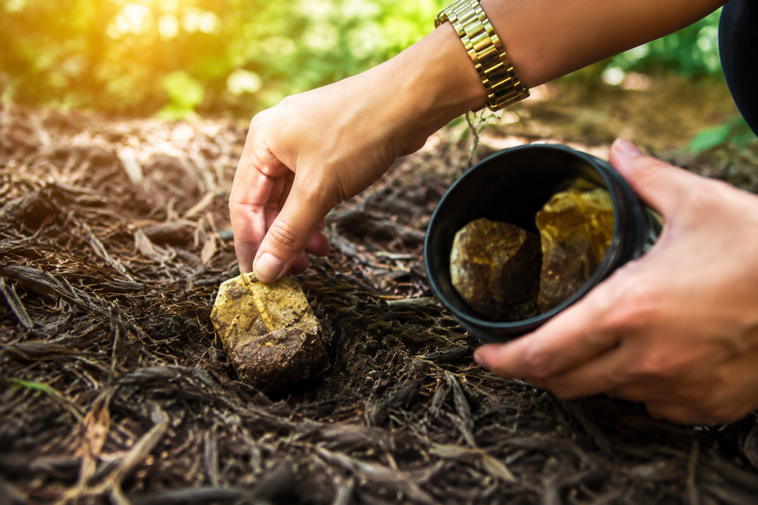 No tires las bolsitas de té: esto es lo que ocurre si las entierras