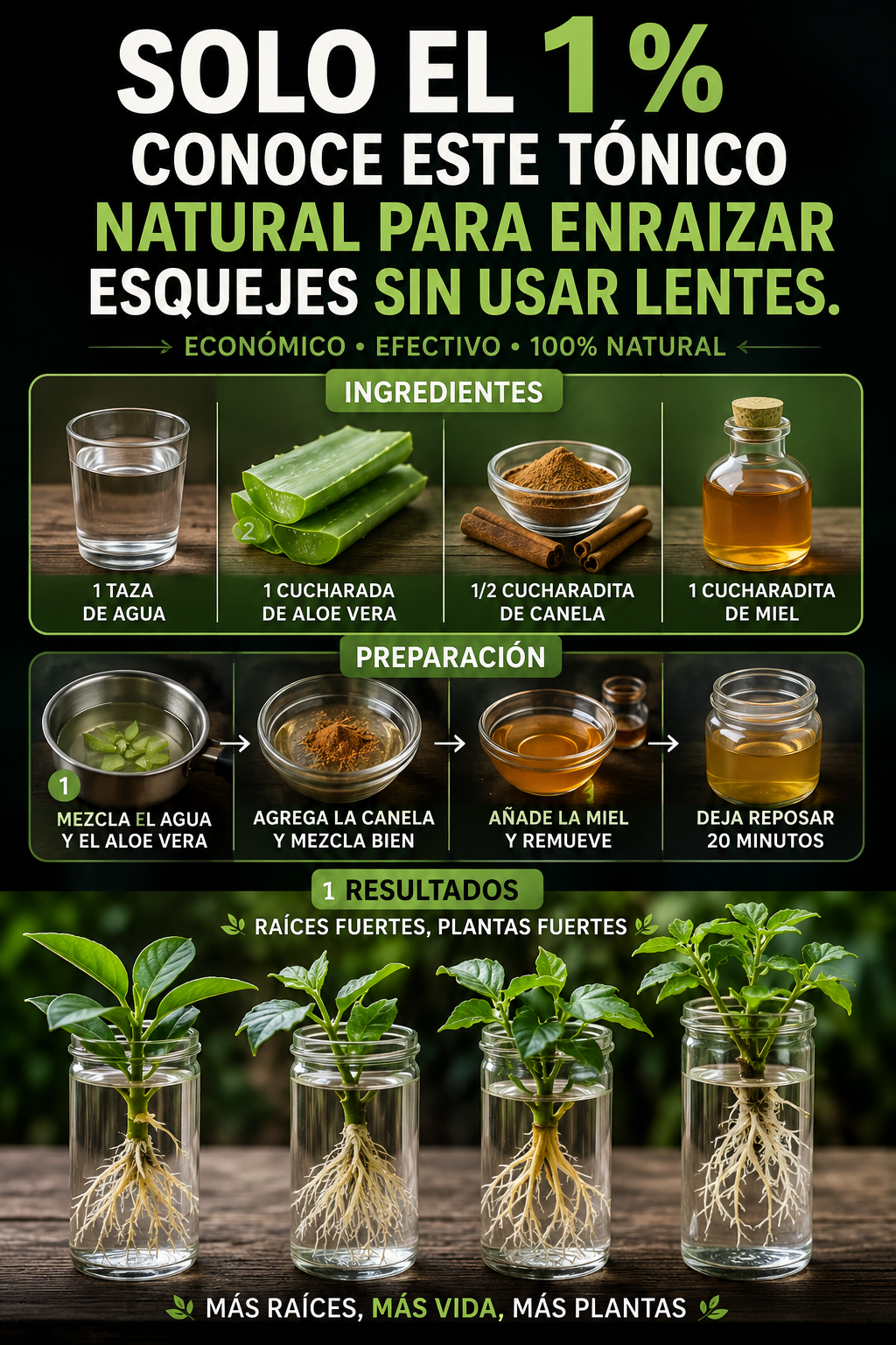 Solo el 1 % conoce este tónico natural para enraizar esquejes sin usar lentes.