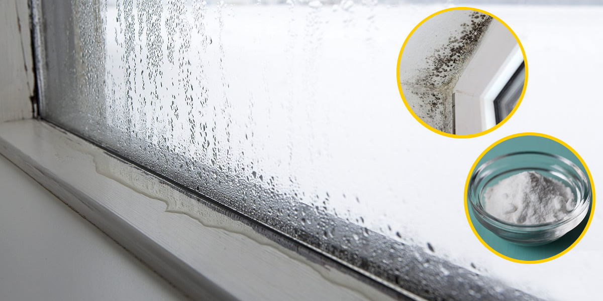 5 trucos para eliminar el vaho de las ventanas