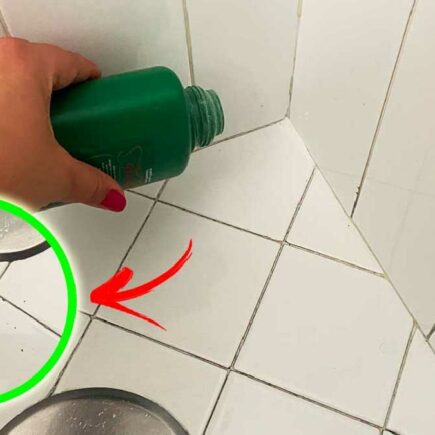 Algunas formas infalibles para mantener las hormigas fuera de tu baño