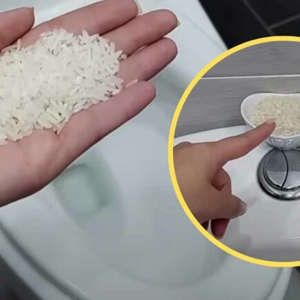 Arroz: ¡Déjalo en remojo toda la noche! No puedes imaginar lo que está pasando