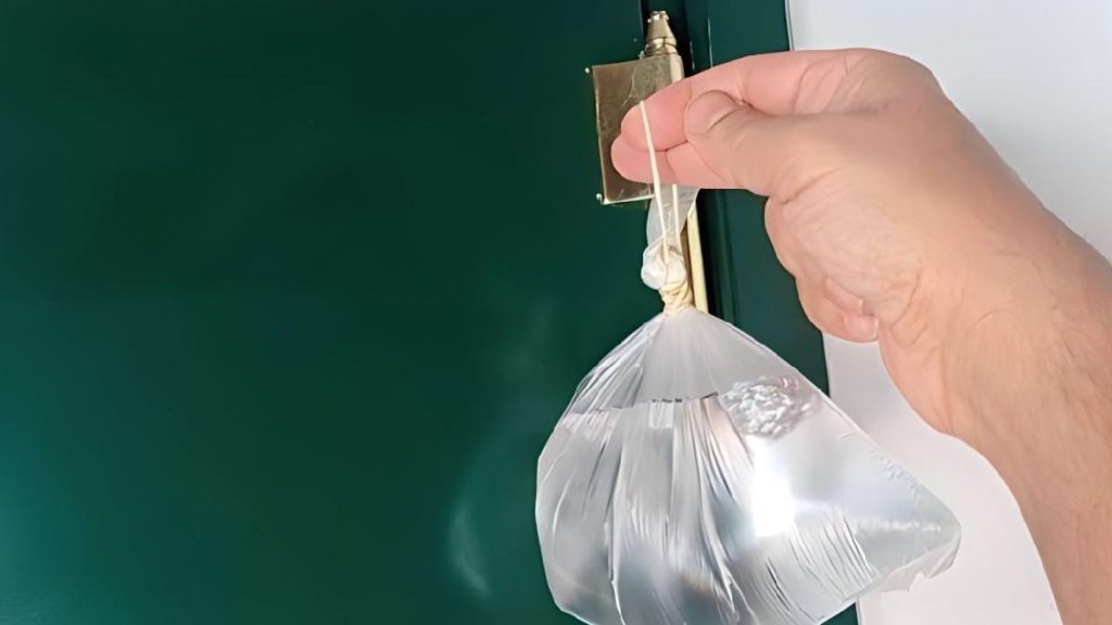 Asegúrate de colgar una bolsa de plástico llena de agua en la manija de la puerta