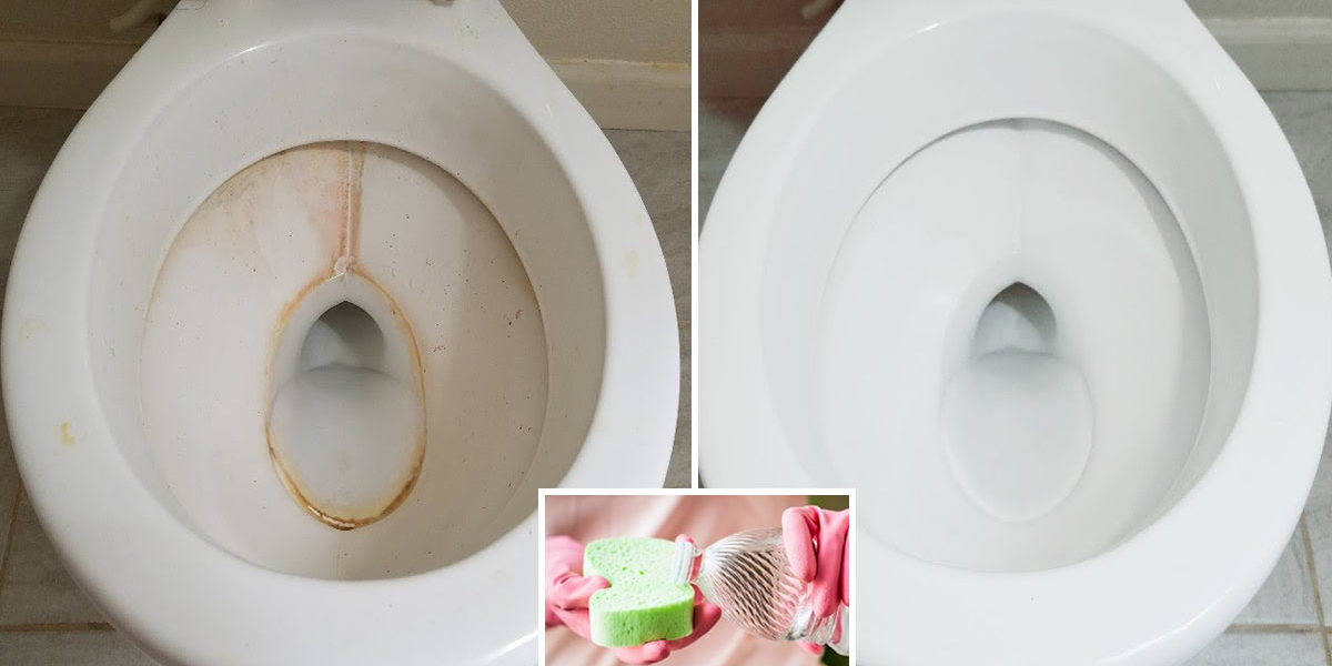Baño perfectamente limpio e impecable: 6 formas de limpiar y eliminar sarro y moho con vinagre