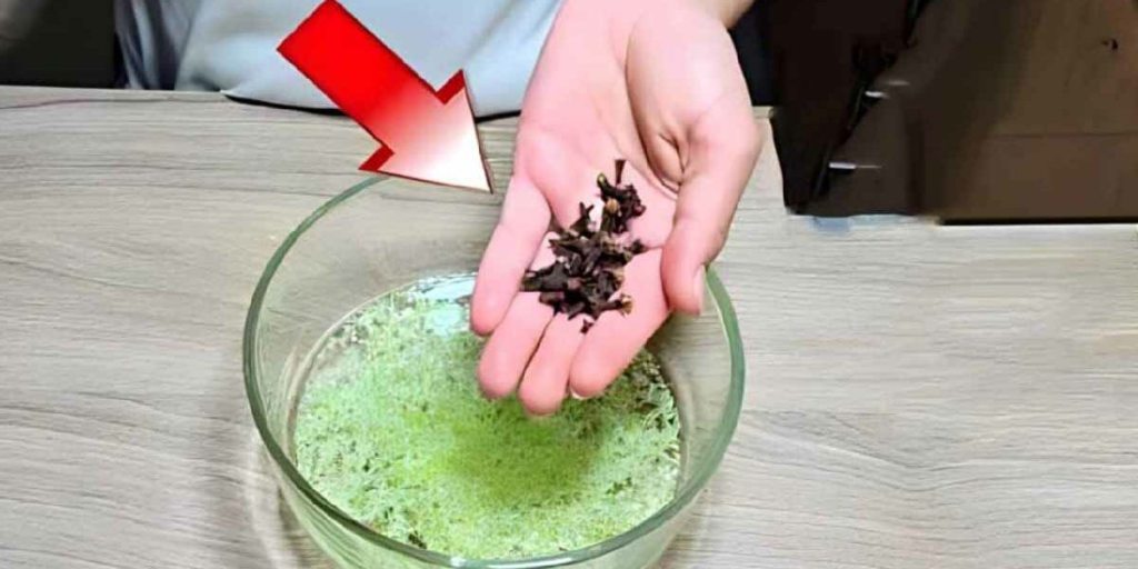 Crea este potente insecticida y las moscas, hormigas y otros insectos ya no invadirán tu casa.