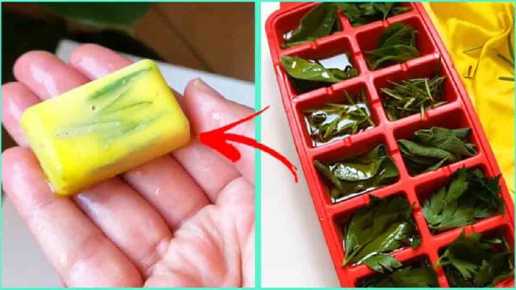 Este método permite tener hierbas aromáticas a mano durante todo el año.