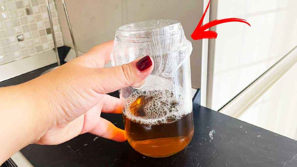 Este truco para el orinal ahuyentará al instante moscas y mosquitos de tu casa