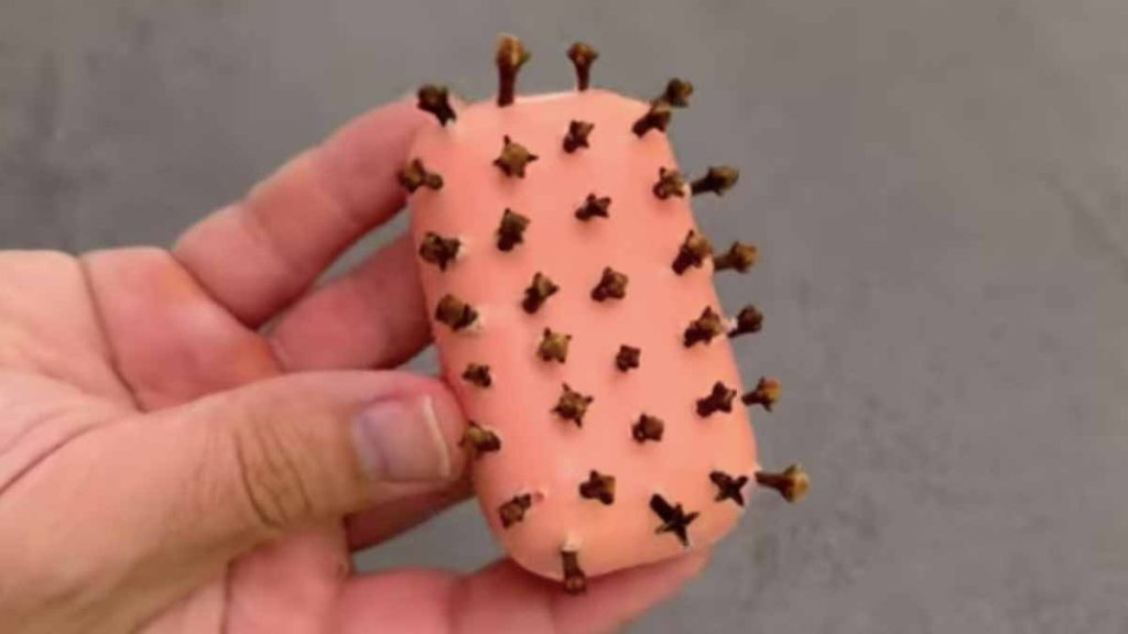 La casa siempre tendrá un buen aroma: sal y compra una pastilla de jabón y algunos clavos de olor
