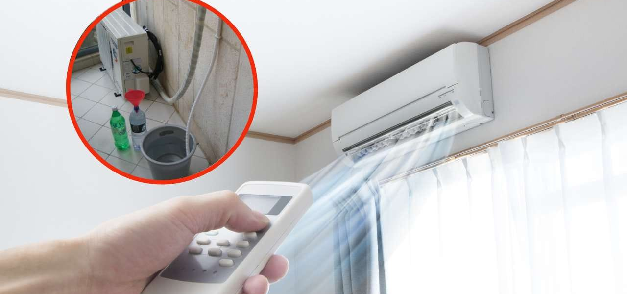 No desperdicies el agua de los platos: vale oro reutilizarla de esta manera