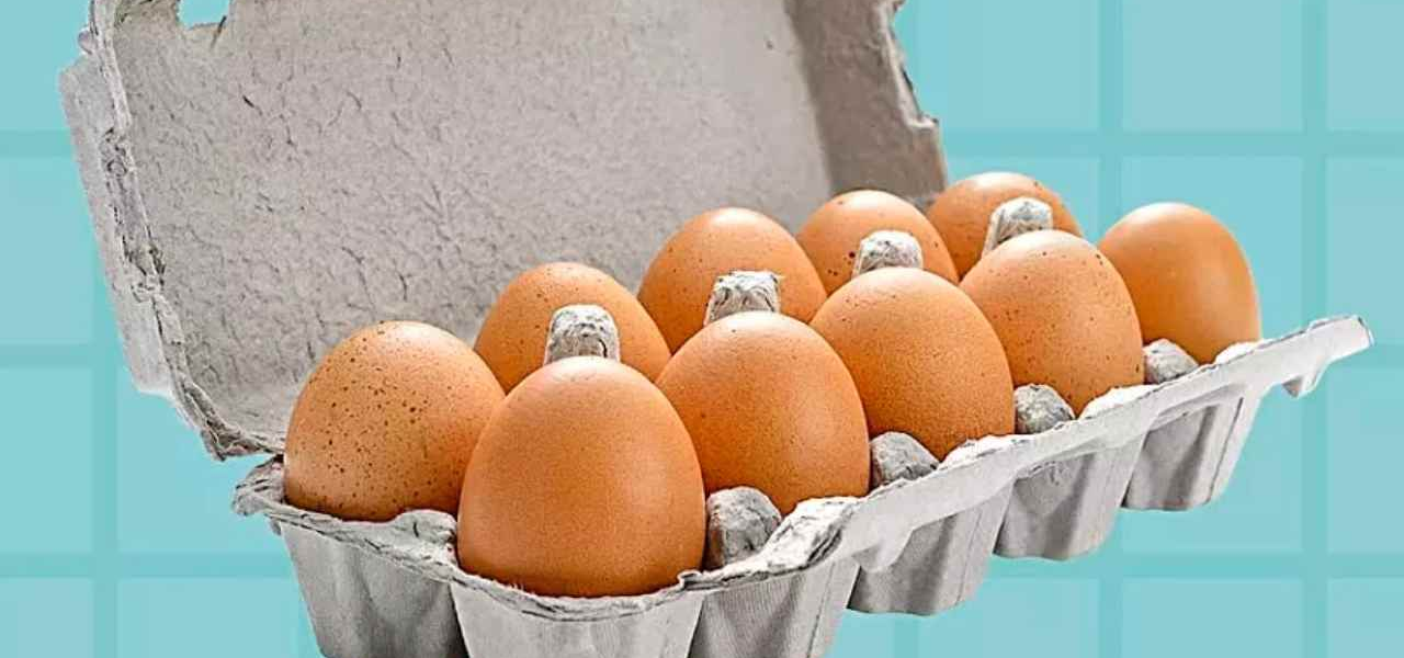 Nunca pongas estos 7 alimentos en el frigorífico o cometerás un gran error