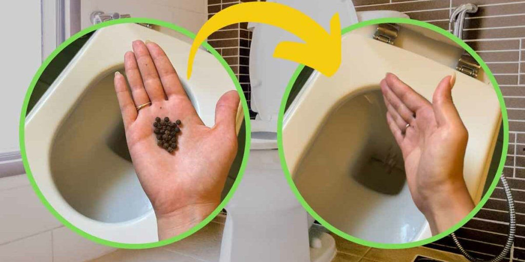 Pepino negro en el WC: ¡la increíble razón por la que todos lo hacen!