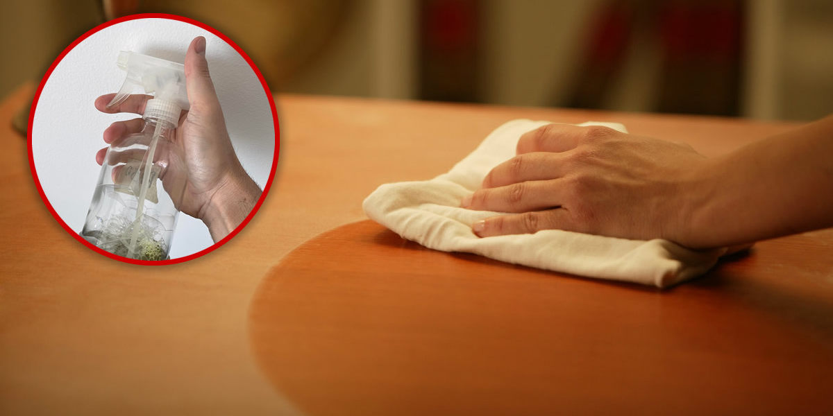 Spray casero contra el polvo: lo elimina e impide que se adhiera nuevamente a los muebles