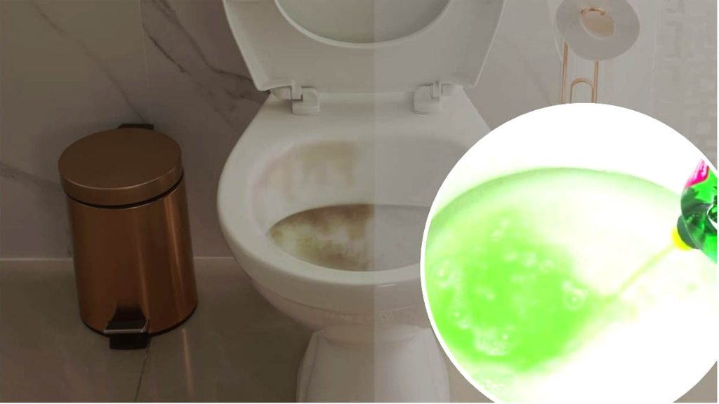 Tirar la ropa interior en el inodoro es el secreto de muchas amas de casa: sucede lo inimaginable