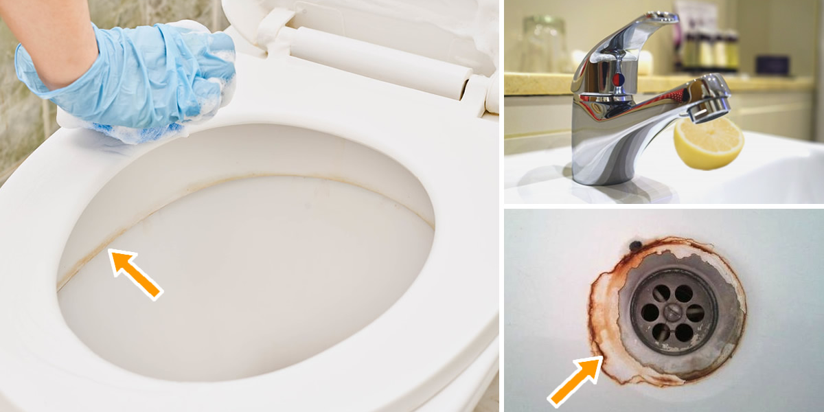 Trucos que transformarán sin esfuerzo tu baño en un oasis de pureza