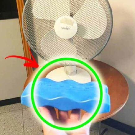 Trucos simples que quizás no conozcas para convertir el aire caliente del ventilador en aire frío