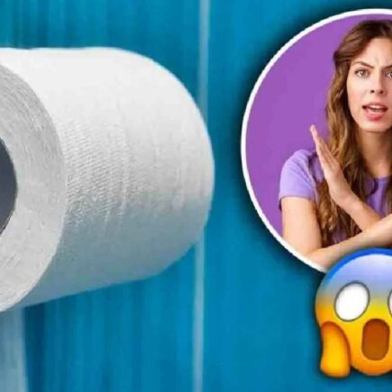 ¡No uses el papel higiénico de los baños públicos! ¡La razón es sorprendente!
