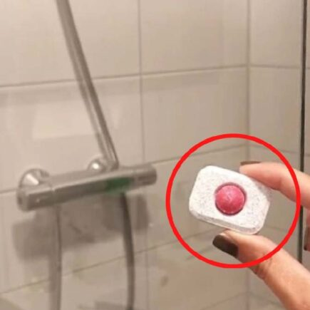 ¿Por qué deberías probar a poner una pastilla para lavavajillas en la ducha?