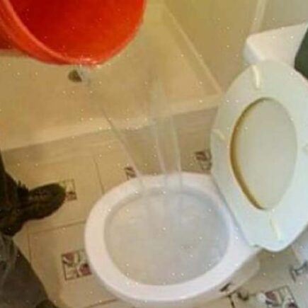 ¿Por qué los hoteleros vierten agua hirviendo en el inodoro?