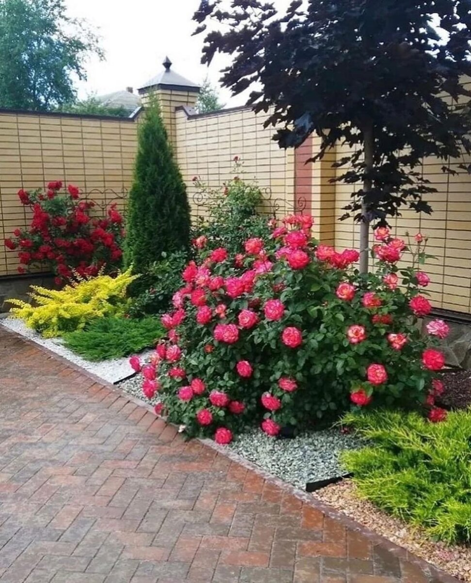 20 bonitas ideas de flores para la zona junto a la cerca