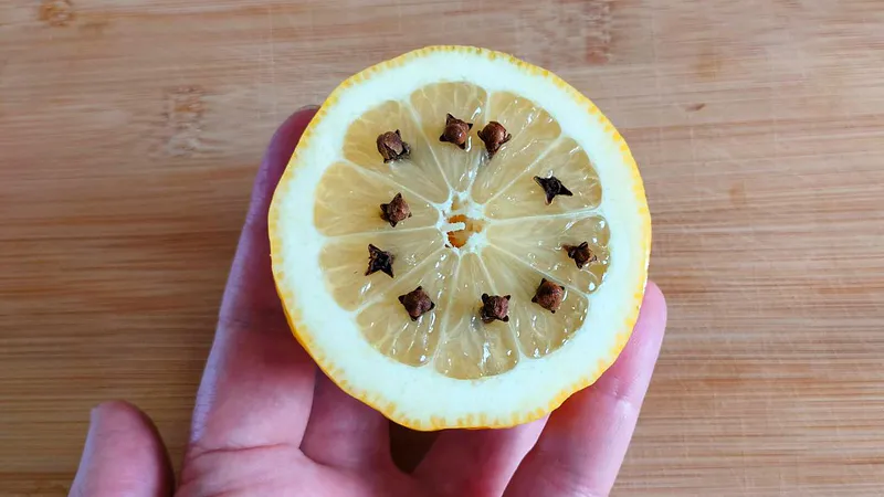 5 remedios caseros contra los mosquitos que siempre tienes a mano pero desconoces