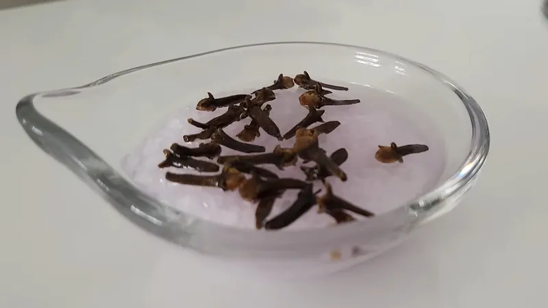Rápido, fácil y económico: mezclo 4 ingredientes y ya no compro ambientadores en la tienda