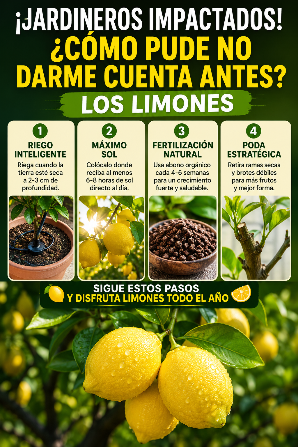 ¡Jardineros impactados! ¿Cómo pude no darme cuenta antes? – Los limones