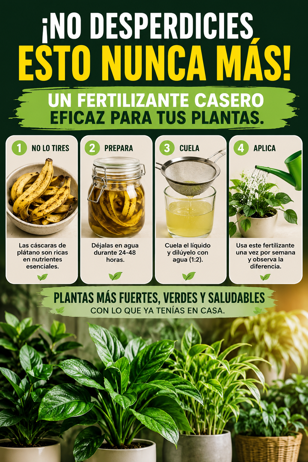 ¡No desperdicies esto nunca más! Un fertilizante casero eficaz para tus plantas.