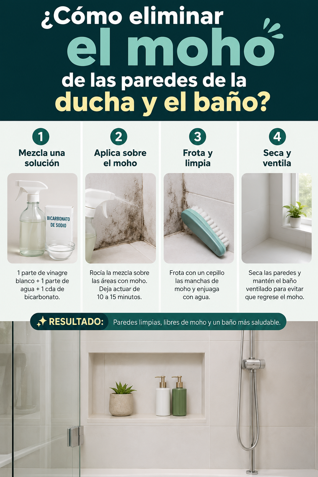 ¿Cómo eliminar el moho de las paredes de la ducha y el baño?