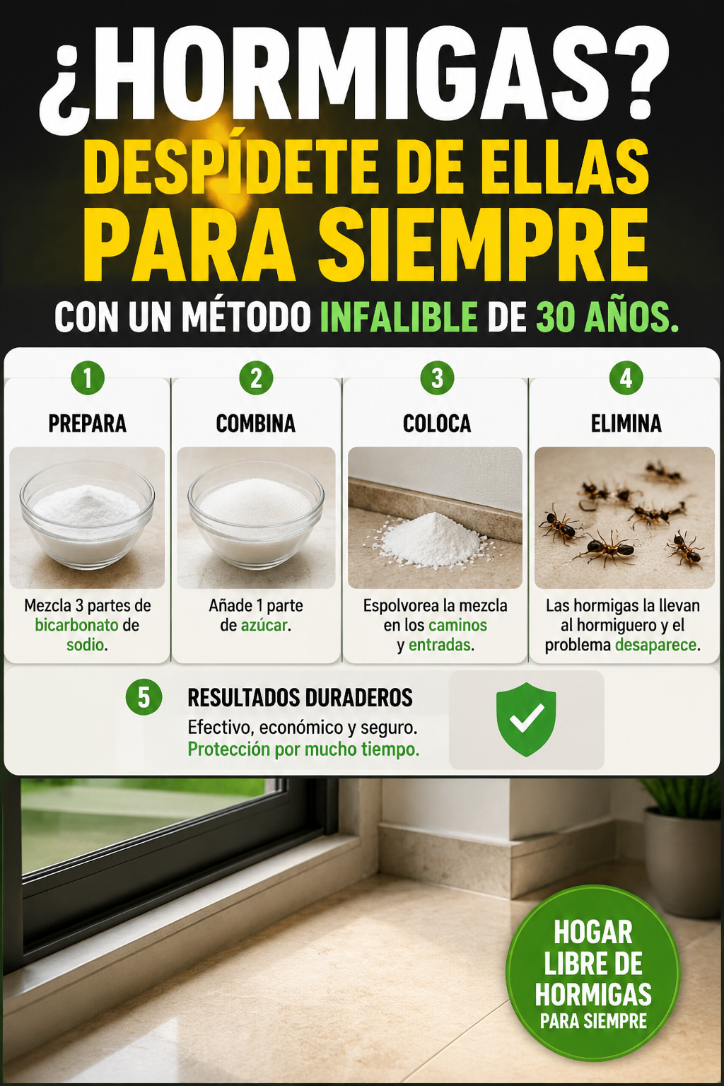 ¿Hormigas? Despídete de ellas para siempre con un método infalible de 30 años.
