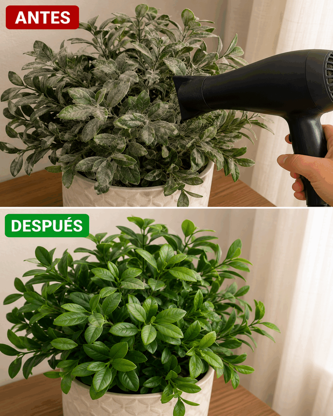 Cómo eliminar el polvo pegado de las plantas artificiales sin lavar hoja por hoja