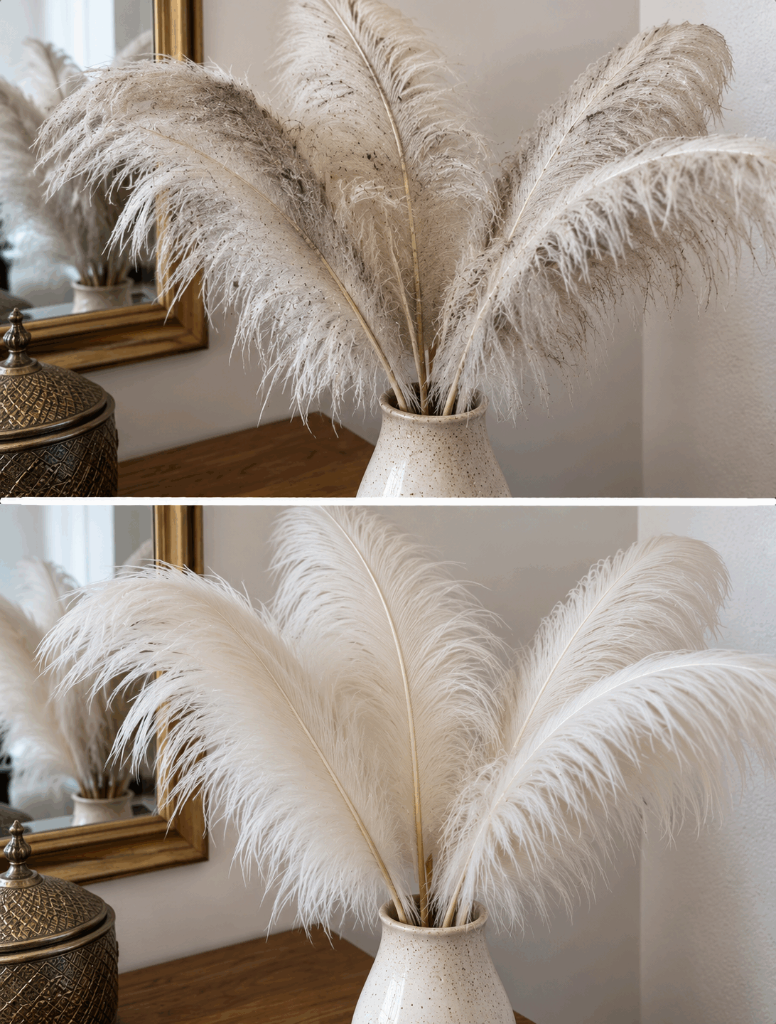 La antigua forma de limpiar las plumas de decoración sin mojarlas ni deformarlas